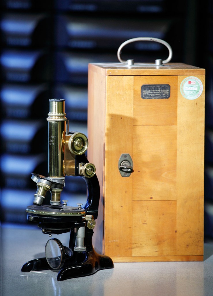 rats-apotheke__MG_7554a-739x1024